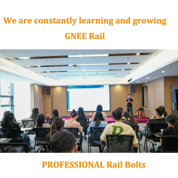 PROFESSIONAL Rail Bolts Supplier